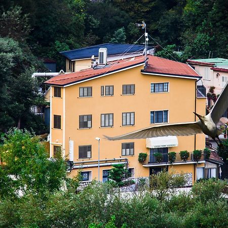 Albergo Terme Santamaria Castelforte Ngoại thất bức ảnh